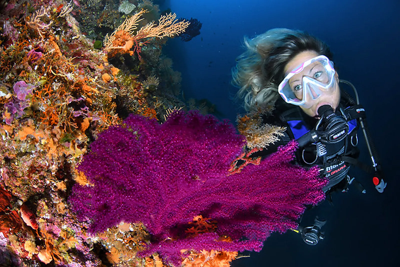 jhola-diving-coral-lagos Diver under water looking at a coral